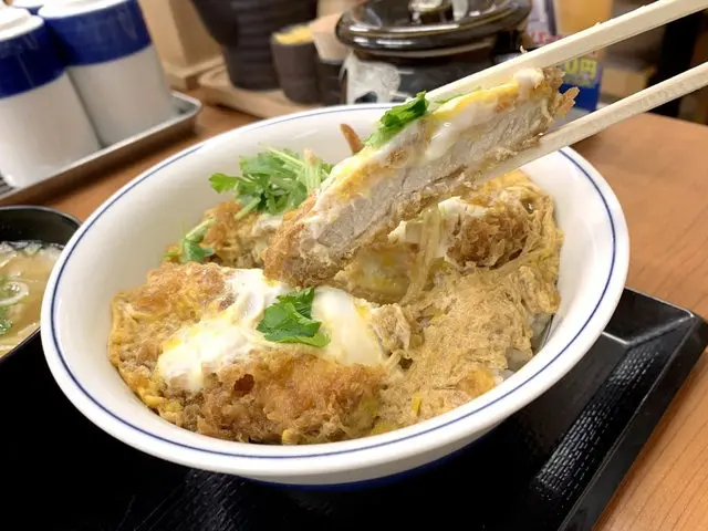 かつやのかつ丼(梅)