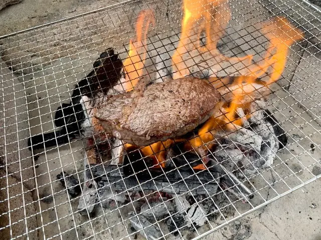 炭火で焼くバーベキュー肉