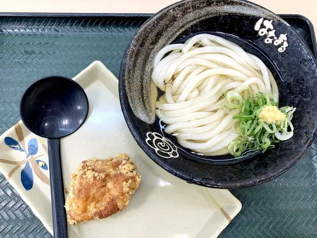 はなまるうどんのうどんとからあげ