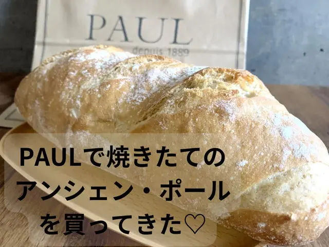 PAULのアンシェン・ポール