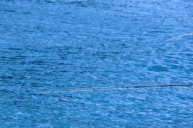 海と釣り竿