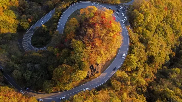 日光いろは坂の紅葉