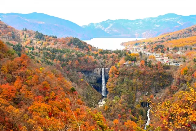 日光いろは坂の紅葉